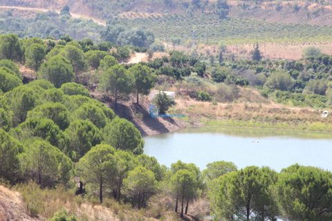 Farm i Silves, Faro, Silves - € 7.900.000 | Ref: H755 - foto 32