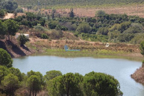 Farm i Silves, Faro, Silves - € 7.900.000 | Ref: H755 - foto 33