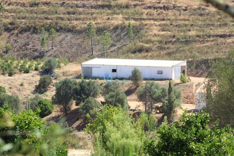Farm i Silves, Faro, Silves - € 7.900.000 | Ref: H755 - foto 6