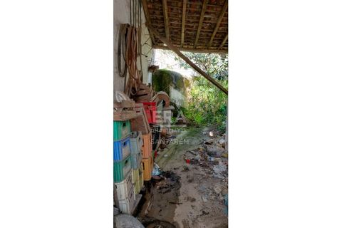 Villa a Alcanhoes, Santarem, Alcanhoes - € 56.000 | Ref: 11353 - foto 4