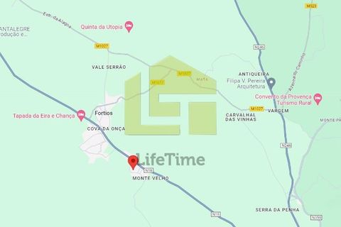 Helårsgrund i Portalegre, Portalegre, Portalegre - € 22.500 | Ref: LT1214 - foto 8