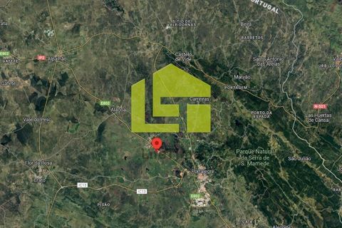 Helårsgrund i Portalegre, Portalegre, Portalegre - € 22.500 | Ref: LT1214 - foto 10
