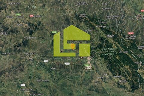 Helårsgrund i Portalegre, Portalegre, Portalegre - € 22.500 | Ref: LT1214 - foto 12