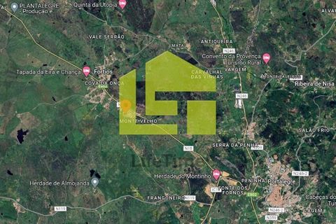Helårsgrund i Portalegre, Portalegre, Portalegre - € 22.500 | Ref: LT1214 - foto 13