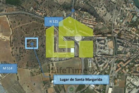 Helårsgrund i Tavira, Faro, Tavira - € 9.500.000 | Ref: LT1224 - foto 17