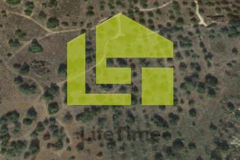 Helårsgrund i Tavira, Faro, Tavira - € 9.500.000 | Ref: LT1224 - foto 18