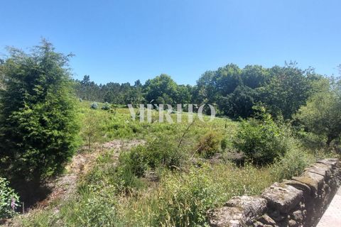 Helårsgrund i Barcelos, Braga, Barcelos - € 444.000 | Ref: MIBA-0923 - foto 6