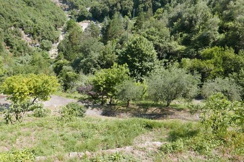 Villa a Dolceacqua, Imperia, Dolceacqua - € 470.000 | Ref: 84953355 - foto 29