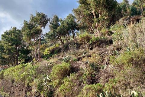 Helårsgrund i Calheta, Madeira, Calheta - € 150.000 | Ref: 501 - foto 10