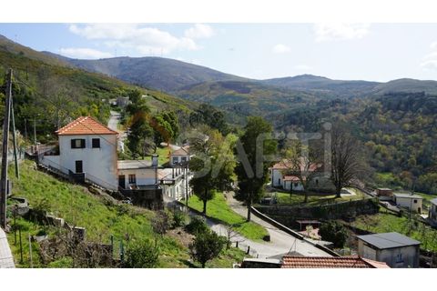 Villa i Viana do Castelo, Viana do Castelo, Viana do Castelo - € 215.000 | Ref: SAFTI:005556 - foto 7