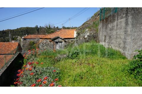 Villa i Viana do Castelo, Viana do Castelo, Viana do Castelo - € 215.000 | Ref: SAFTI:005556 - foto 40