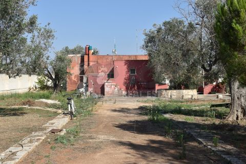 Villa i Copertino, Lecce, Copertino - € 70.000 | Ref: 13AD - foto 1