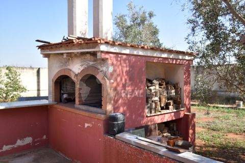 Villa i Copertino, Lecce, Copertino - € 70.000 | Ref: 13AD - foto 4
