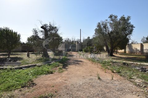 Villa i Copertino, Lecce, Copertino - € 70.000 | Ref: 13AD - foto 5