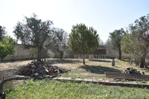Villa i Copertino, Lecce, Copertino - € 70.000 | Ref: 13AD - foto 6