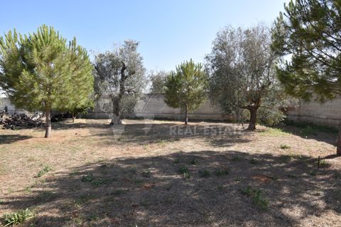 Villa i Copertino, Lecce, Copertino - € 70.000 | Ref: 13AD - foto 7