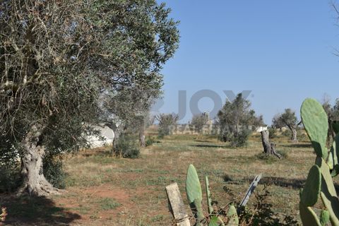 Villa i Copertino, Lecce, Copertino - € 70.000 | Ref: 13AD - foto 13
