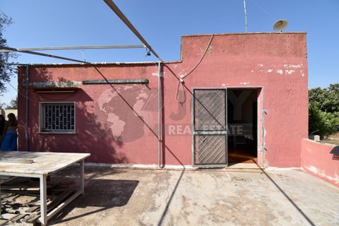 Villa i Copertino, Lecce, Copertino - € 70.000 | Ref: 13AD - foto 14