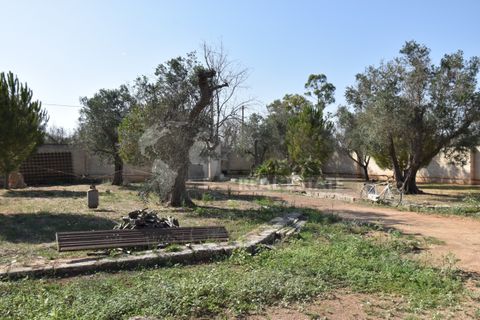 Villa i Copertino, Lecce, Copertino - € 70.000 | Ref: 13AD - foto 18