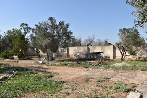 Villa i Copertino, Lecce, Copertino - € 70.000 | Ref: 13AD - foto 19