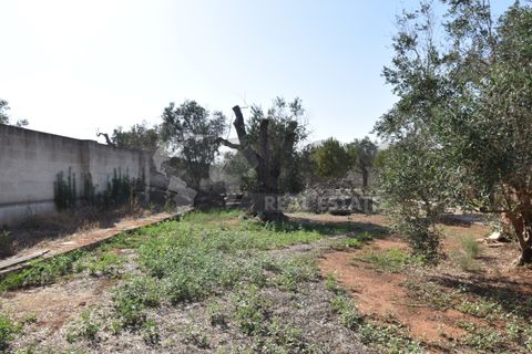 Villa i Copertino, Lecce, Copertino - € 70.000 | Ref: 13AD - foto 20