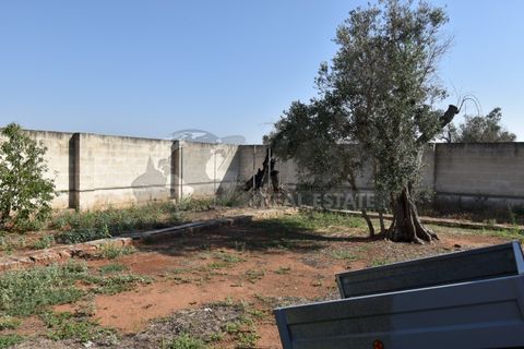 Villa i Copertino, Lecce, Copertino - € 70.000 | Ref: 13AD - foto 21