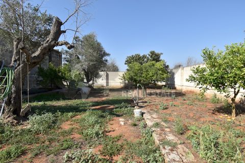 Villa i Copertino, Lecce, Copertino - € 70.000 | Ref: 13AD - foto 22