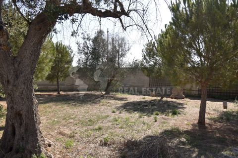 Villa i Copertino, Lecce, Copertino - € 70.000 | Ref: 13AD - foto 24