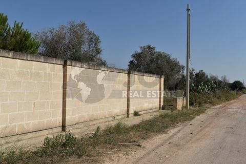 Villa i Copertino, Lecce, Copertino - € 70.000 | Ref: 13AD - foto 26