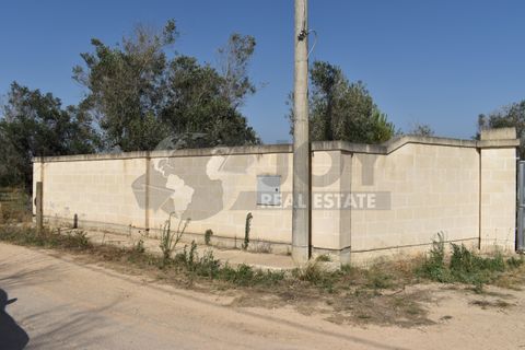 Villa i Copertino, Lecce, Copertino - € 70.000 | Ref: 13AD - foto 27