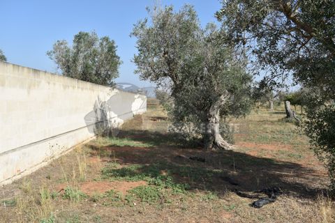Villa i Copertino, Lecce, Copertino - € 70.000 | Ref: 13AD - foto 28
