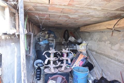 Villa i Copertino, Lecce, Copertino - € 70.000 | Ref: 13AD - foto 29