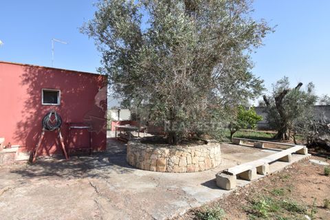 Villa i Copertino, Lecce, Copertino - € 70.000 | Ref: 13AD - foto 30