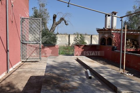 Villa i Copertino, Lecce, Copertino - € 70.000 | Ref: 13AD - foto 31