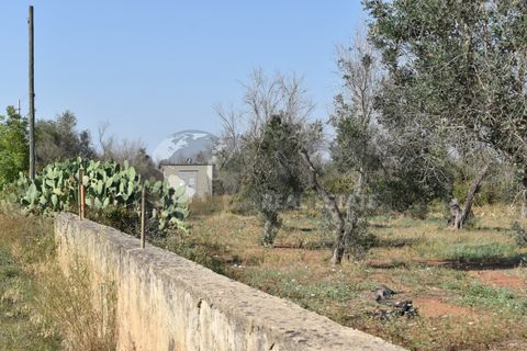 Villa i Copertino, Lecce, Copertino - € 70.000 | Ref: 13AD - foto 33