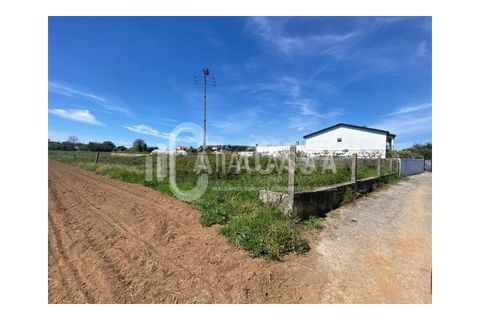 Helårsgrund i Agueda, Aveiro, Agueda - € 62.500 | Ref: 55/2024 - foto 1