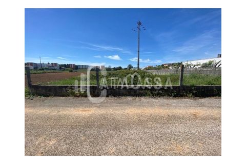 Helårsgrund i Agueda, Aveiro, Agueda - € 62.500 | Ref: 55/2024 - foto 2