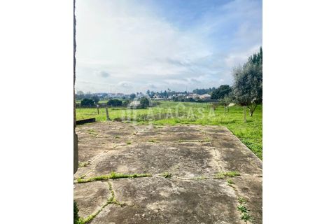 Helårsgrund i Agueda, Aveiro, Agueda - € 62.500 | Ref: 55/2024 - foto 5
