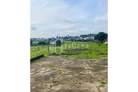 Helårsgrund i Agueda, Aveiro, Agueda - € 62.500 | Ref: 55/2024 - foto 6