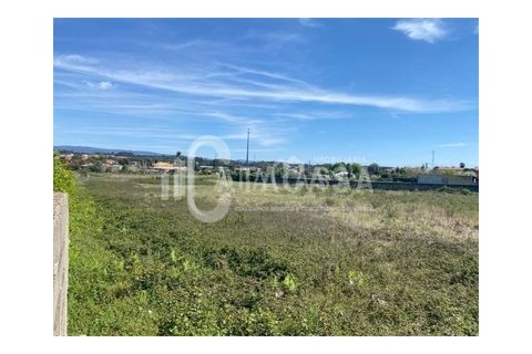 Helårsgrund i Agueda, Aveiro, Agueda - € 89.500 | Ref: 54/2024 - foto 2