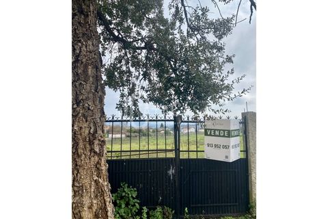 Helårsgrund i Agueda, Aveiro, Agueda - € 89.500 | Ref: 54/2024 - foto 6