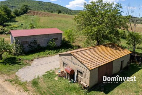 Landejendom i Capalbio, Grosseto, Capalbio - € 1.190.000 | Ref: V-0098 - foto 1