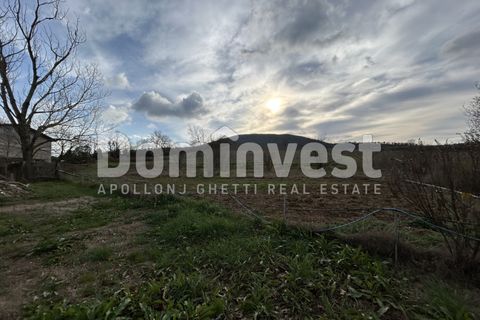Landejendom i Capalbio, Grosseto, Capalbio - € 1.190.000 | Ref: V-0098 - foto 6