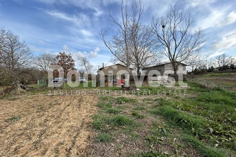 Landejendom i Capalbio, Grosseto, Capalbio - € 1.190.000 | Ref: V-0098 - foto 7