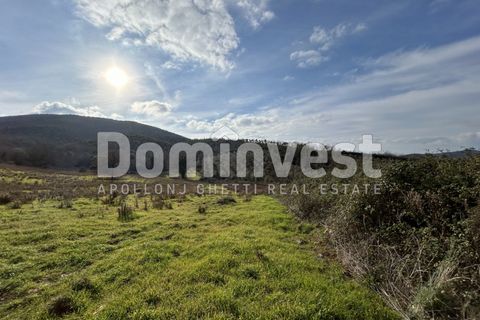 Landejendom i Capalbio, Grosseto, Capalbio - € 1.190.000 | Ref: V-0098 - foto 12
