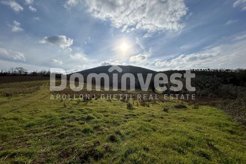 Landejendom i Capalbio, Grosseto, Capalbio - € 1.190.000 | Ref: V-0098 - foto 13