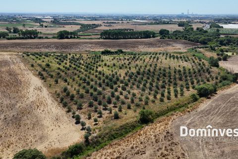 Landejendom i Capalbio, Grosseto, Capalbio - € 1.700.000 | Ref: v-0099 - foto 7