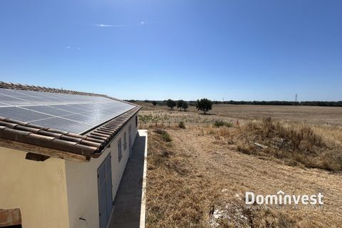 Landejendom i Capalbio, Grosseto, Capalbio - € 1.700.000 | Ref: v-0099 - foto 11