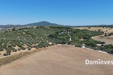 Landejendom i Capalbio, Grosseto, Capalbio - € 1.700.000 | Ref: v-0099 - foto 12
