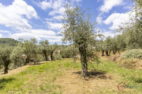 Tomt i Ortovero, Savona, Ortovero - € 57 000 | Ref: ORT.V.7 .T - foto 3